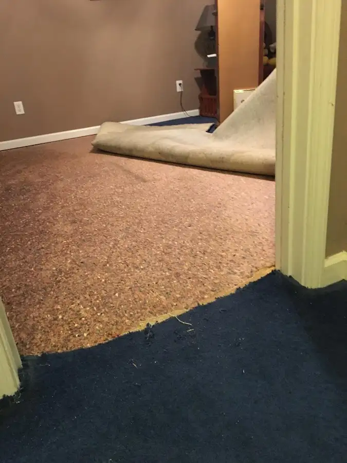 Carpet pad removal revealing water damage during Drying & Dehumidification in Wright