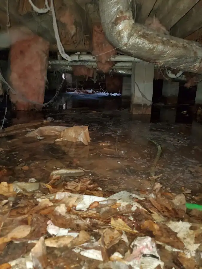 Crawl space flood assessment for Leak Detection & Repair in Wright