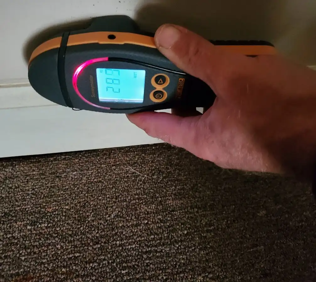 Moisture detection at baseboard during Sewage Cleanup & Sanitation in Wright